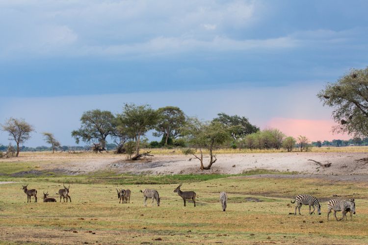 Rejseforedrag i Holbæk om Det sydlige Afrika