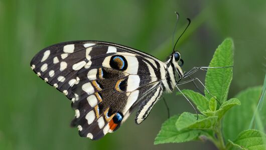 fotoworkshop i Andalusien