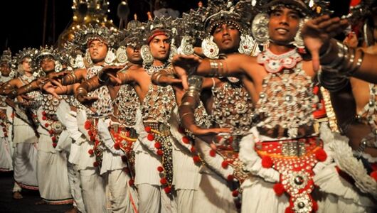 habarana/elephants-minneriya