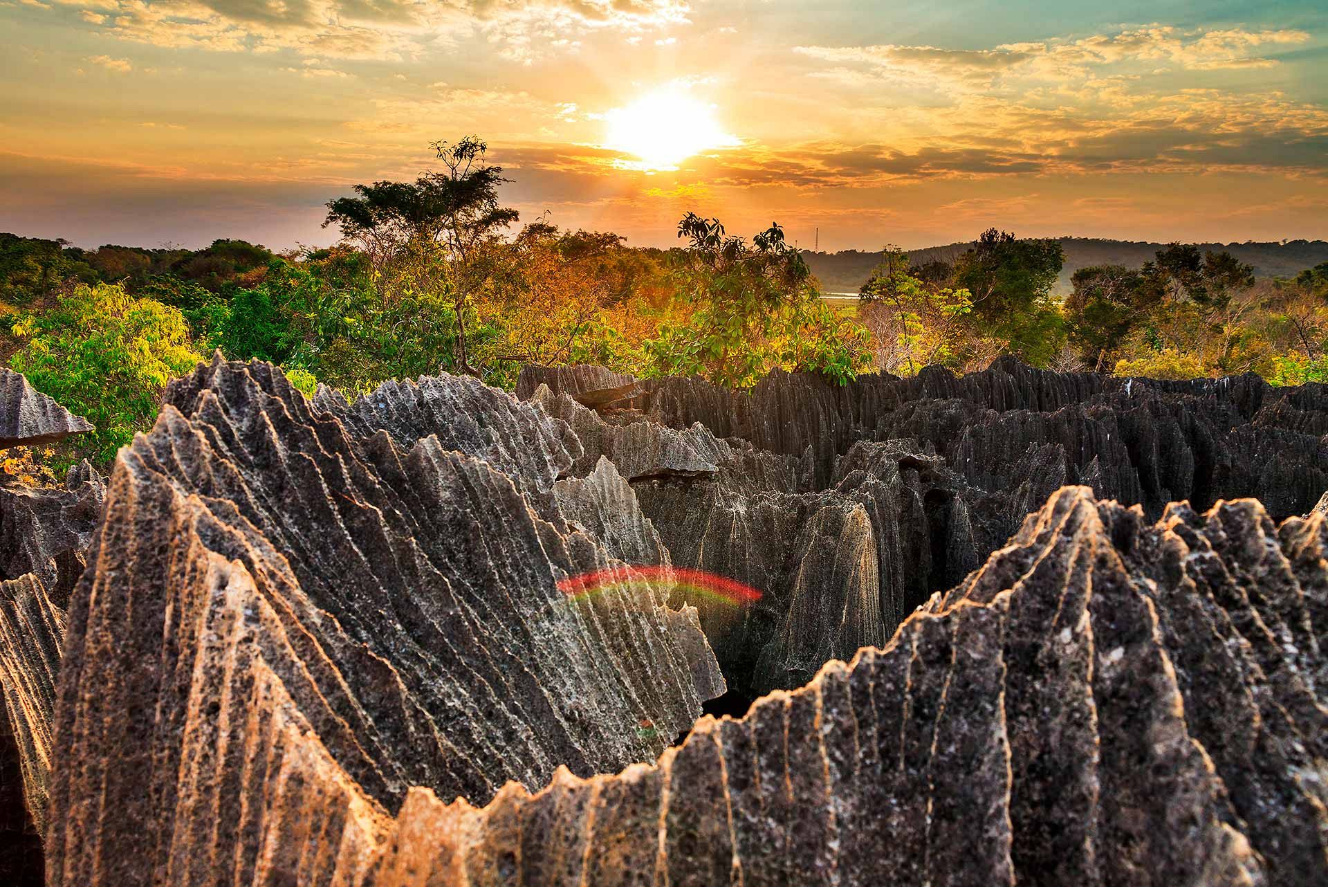 Tsingy De Bemaraha National Park Rejser Til Madagaskar