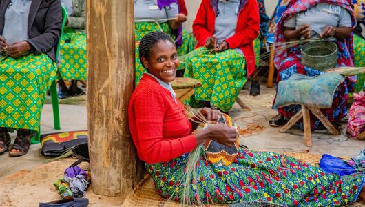 Elefanter og flodheste i Queen Elizabeth Nationalpark